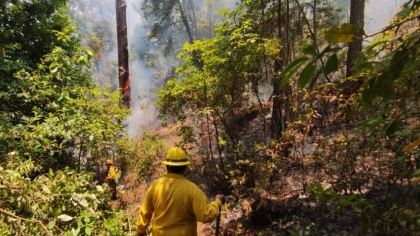 Con Mando Único, gobierno del Estado de México controla en menos de 48 horas incendios forestales en Valle de Bravo