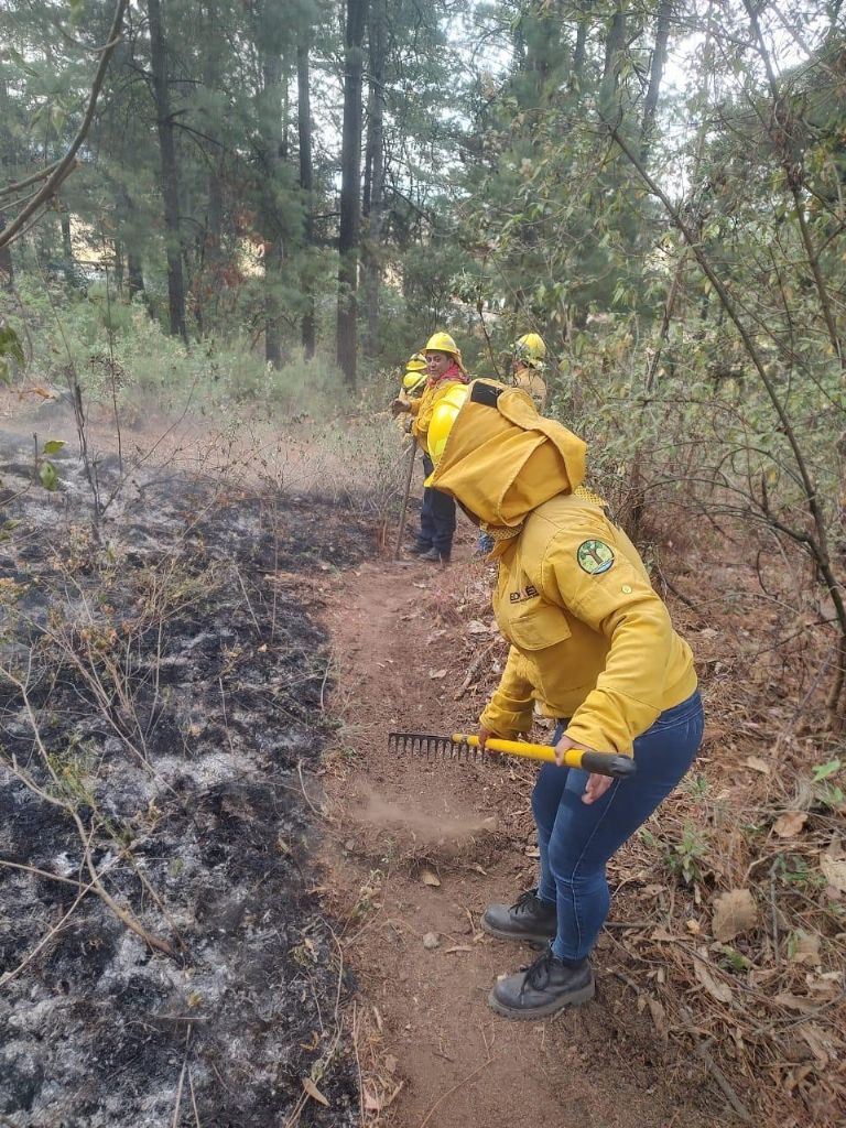 incendios forestales