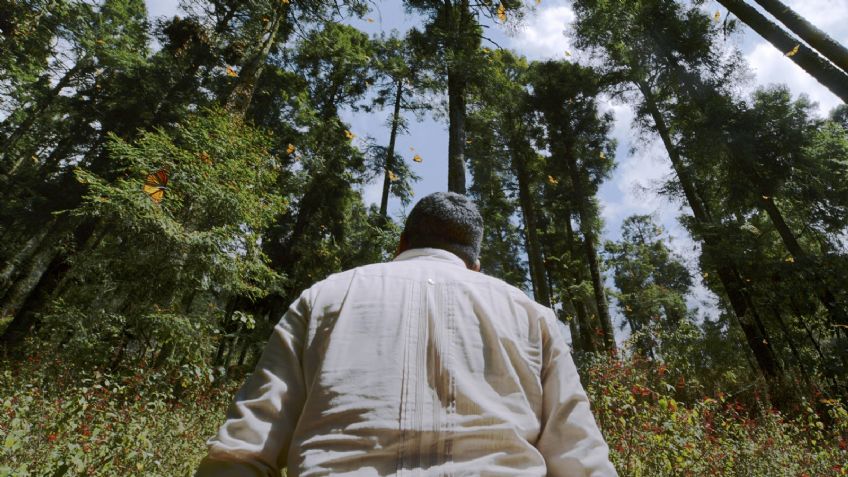 Recuerdan al Guardián del Santuario de la Mariposa Monarca