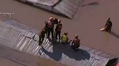 VIDEO: rescatan a caballo atrapado en techo de una casa inundada, pasó un día varado