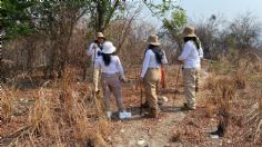 Activistas hallan 18 cuerpos en fosas clandestinas de Baja California; trabajan en las pruebas de ADN