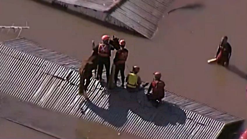 VIDEO: rescatan a caballo atrapado en techo de una casa inundada, pasó un día varado