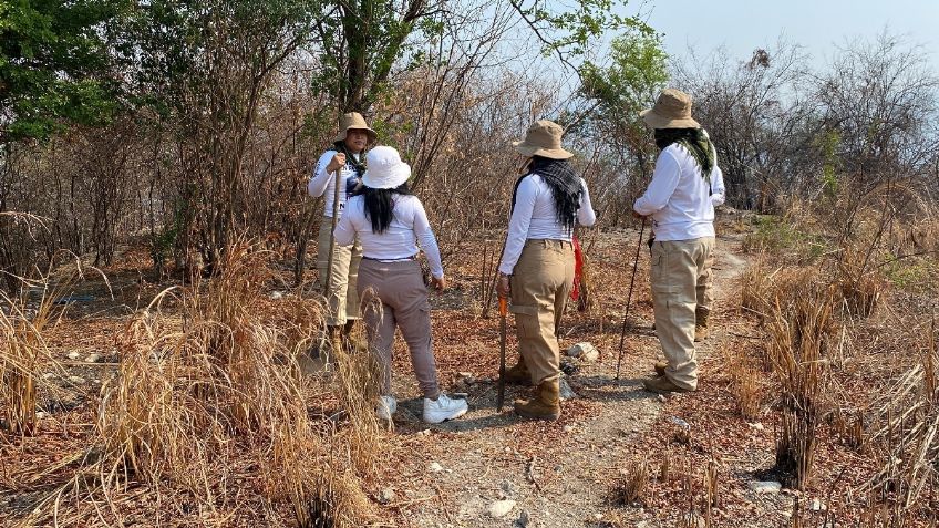 Activistas hallan 18 cuerpos en fosas clandestinas de Baja California; trabajan en las pruebas de ADN