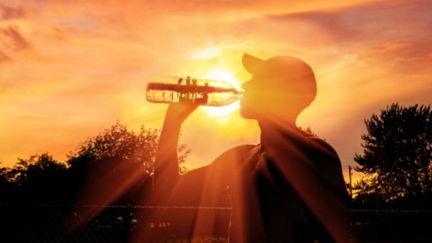 Tercera ola de calor: suspensión de clases y animales afectados por altas temperaturas en estos estados