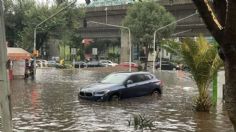 Descubre los 30 túneles más inseguros durante la temporada de lluvias en la ciudad de Guadalajara