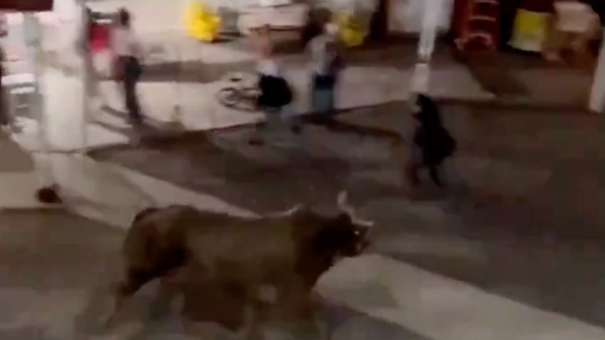 Toro embiste a varias personas tras saltar una valla en un rodeo de Oregón, Estados Unidos: VIDEO