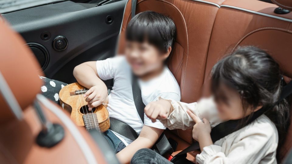 Niños estarán protegidos contra delitos en auto