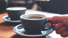 3 alternativas al café para comenzar tus mañanas con energía sin sufrir los estragos de la cafeína