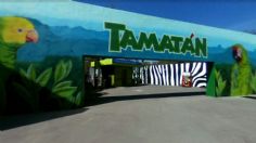 Revelan desaparición y venta de animales en el zoológico de Tamatán