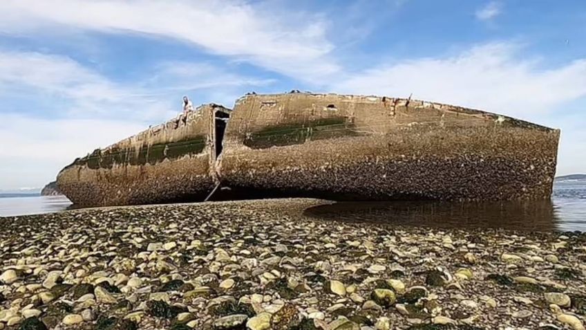 Revelan qué es el enorme “barco” que aterró a los curiosos tras aparecer en una playa