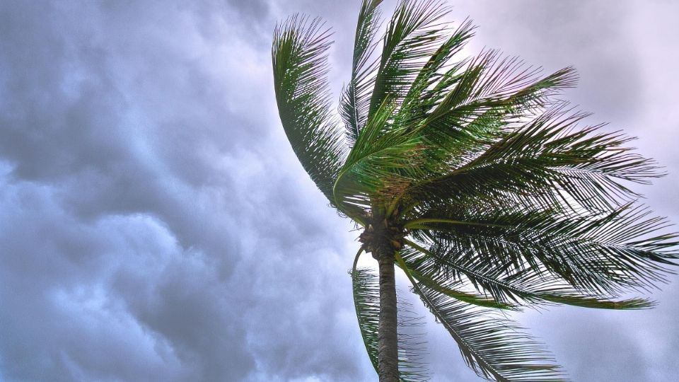 Las ondas tropicales suelen producir aguaceros.