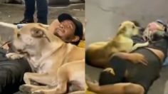 Perrito enternece las redes al no abandonar a su dueño que fue atropellado en la TAPO