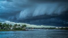 Ciclón Debby: así va la formación hoy, 7 de julio