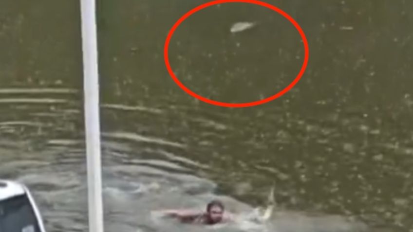 Terror en el agua: hombre se mete a nadar en laguna de Tabasco y es perseguido por cocodrilos