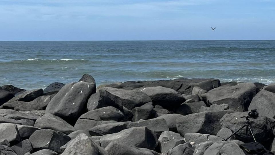 El joven de 29 años murió cuando se bañaba en el mar en Sinaloa.