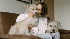 ¿Tu perro tiene calor? Esta es su temperatura habitual, precisa una veterinaria