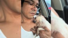 La reacción de un perrito ciego que fue rescatado enternece las redes sociales | VIDEO