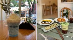 Conoce la nueva cafetería asiática donde puedes comprar las bebidas más kawaii  y aesthetic de la CDMX