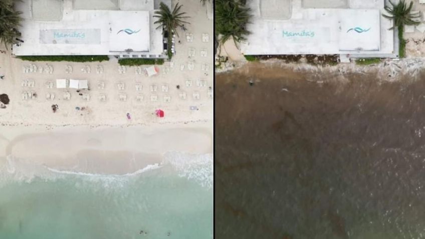 ¿Qué está pasando en Playa Mamitas? El mar se ve café | FOTOS