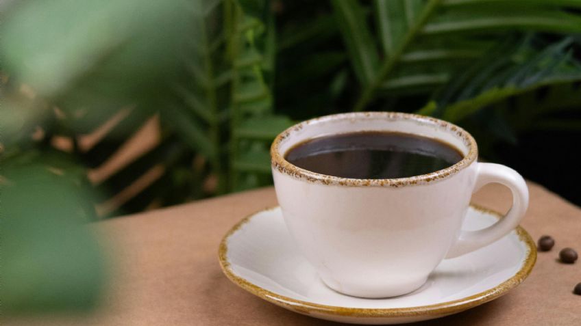 Así es como una taza de café al día te podría ayudar a reducir el riesgo de desarrollar Alzheimer, ¡agrégala a tu dieta!