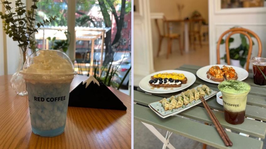 Conoce la nueva cafetería asiática donde puedes comprar las bebidas más kawaii  y aesthetic de la CDMX