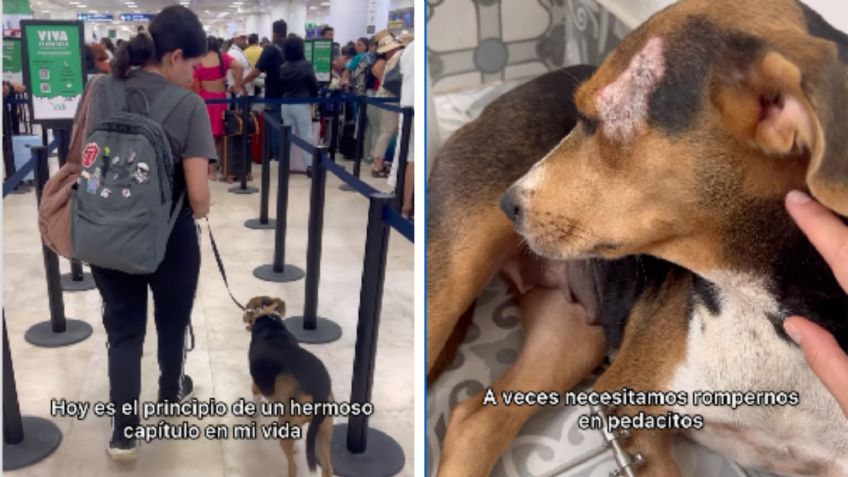 Ella es “Manzana”, perrita a la que le fracturaron dos patitas y fue adoptada por una mujer que igual sobrevivió a una fuerte lesión