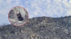 Captan en VIDEO a "misterioso ser" al emerger de una cueva en Cabo San Lucas