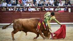 Triunfo y cornada para torero mexicano Isaac Fonseca en Madrid, España