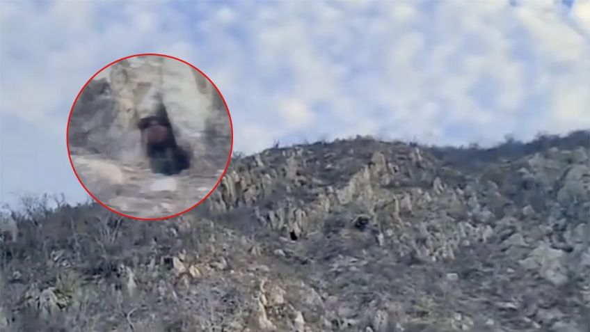 Captan en VIDEO a "misterioso ser" al emerger de una cueva en Cabo San Lucas