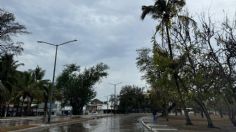 Tormenta tropical Alberto: no se reportan daños tras tocar tierra en Ciudad Madero