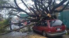 Tormenta tropical Alberto deja afectaciones menores en Veracruz; no hay lesionados