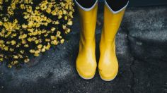 Las hermosas y combinables botas para lluvia de Liverpool que protegerán tus pies, ¡están en rebaja!