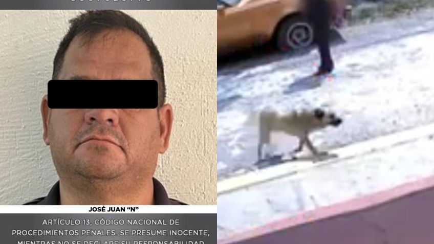 Así detuvieron a hombre que agredió con un machete a Zafiro, la perrita de Ixtapaluca