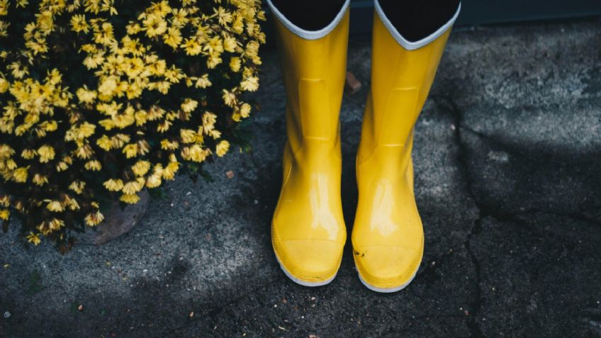 Las hermosas y combinables botas para lluvia de Liverpool que protegerán tus pies, ¡están en rebaja!