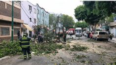 MAPA: fuertes rachas de viento derriban árboles en CDMX, estas son las alcaldías con Alerta Amarilla este 21 de junio