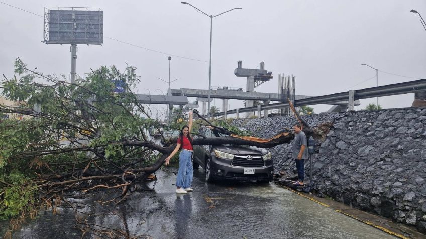 Fuertes vientos tiran árbol sobre una camioneta, la dueña sonríe para la foto