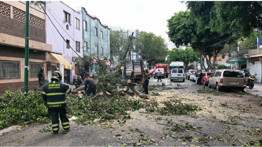 MAPA: fuertes rachas de viento derriban árboles en CDMX, estas son las alcaldías con Alerta Amarilla este 21 de junio