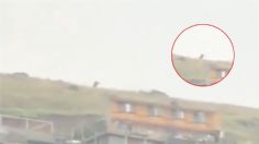 Una criatura aterradora y de grandes dimensiones fue grabada en VIDEO en un cerro del Estado de México