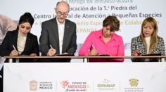 Anuncia Delfina Gómez operación de tres Centros Integrales de Atención a Pequeñas Especies