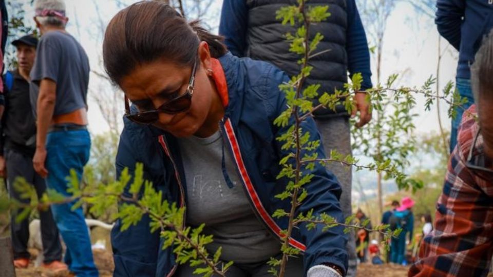 Se trata de la segunda acción de reforestación que encabeza en la alcaldía enfocadas a lograr una Iztapalapa verde