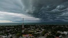 Ciclón Beryl: cómo va la formación hoy, lunes 24 de junio 2024