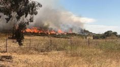 Rescatan a 5 personas atrapadas en incendio forestal en el Valle de Guadalupe