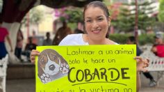 Una docena de perros fueron envenenados en Talpa, Jalisco, vecinos exigen justicia con marchas