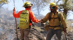 Combaten incendio forestal a 2 mil metros de altura en Sonora