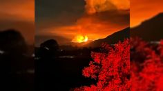 VIDEO: afecta incendio forestal 660 hectáreas en el Valle de Guadalupe