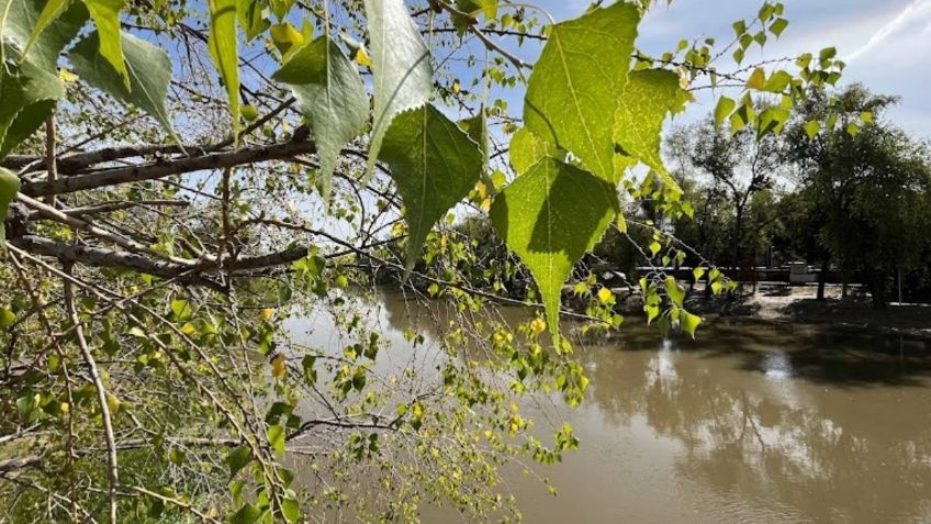 Muere mujer al salvar a su hijo de ahogarse en el río de Los Naranjos