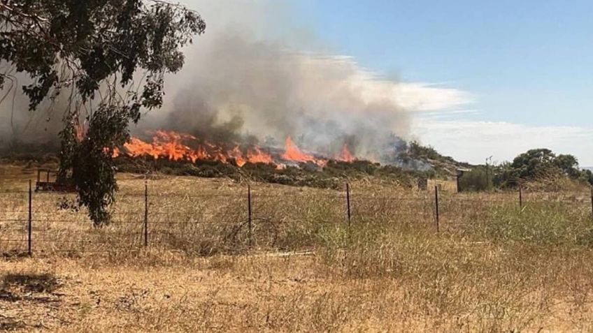 Rescatan a 5 personas atrapadas en incendio forestal en el Valle de Guadalupe