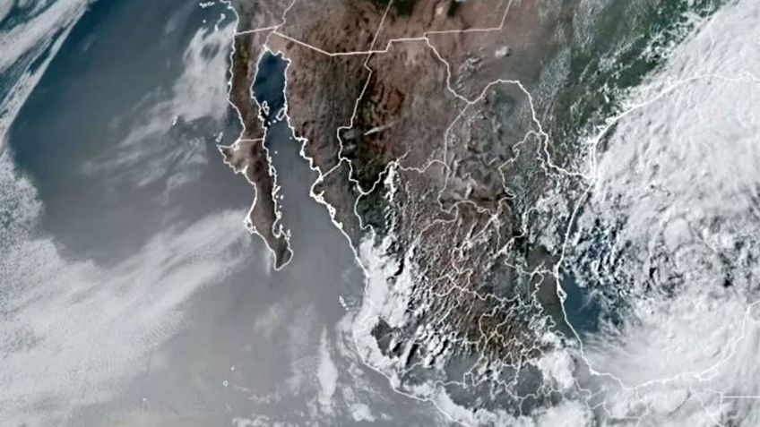 Onda Tropical 5: ¿qué estados impactará con fuertes lluvias? | MAPA