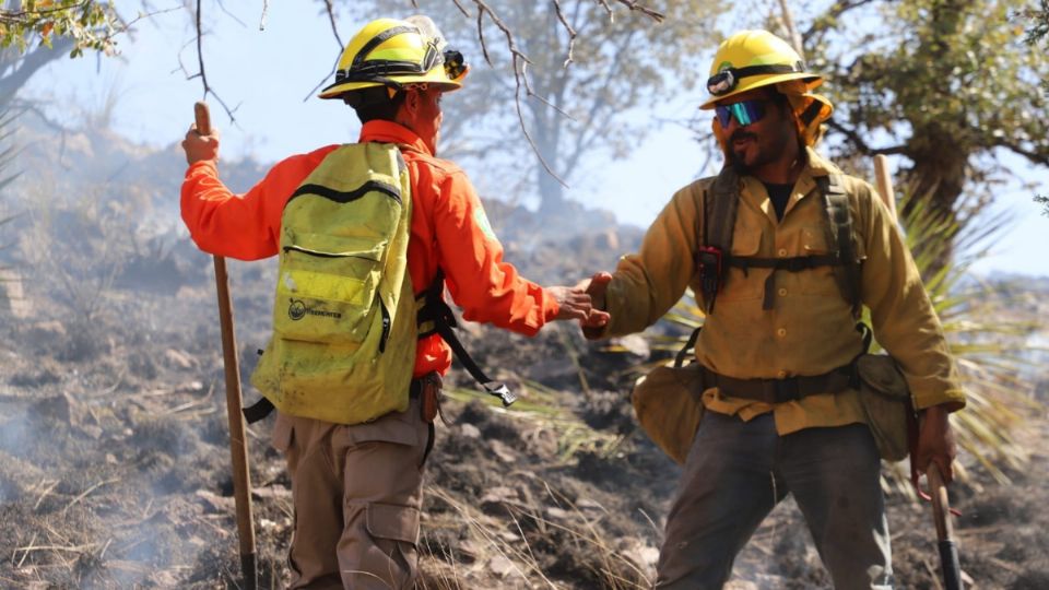 Personal combatiente de incendios forestales