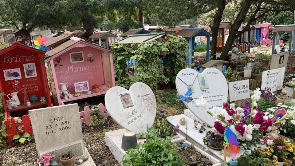 Primer cementerio de mascotas